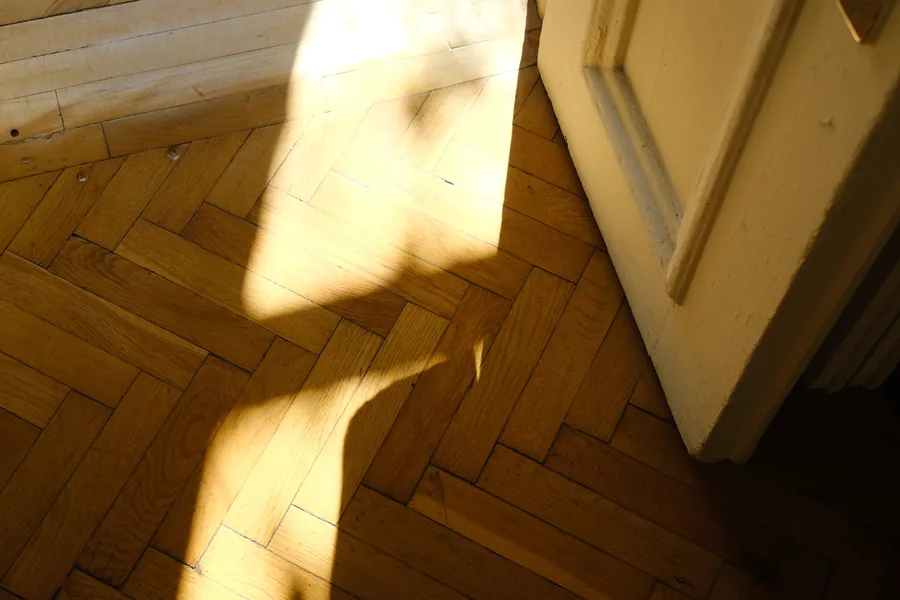 A shaft of sunlight across the herringbone parquet by the door